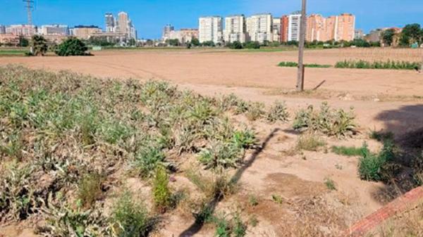 Terreno en Partida Rio photo 4