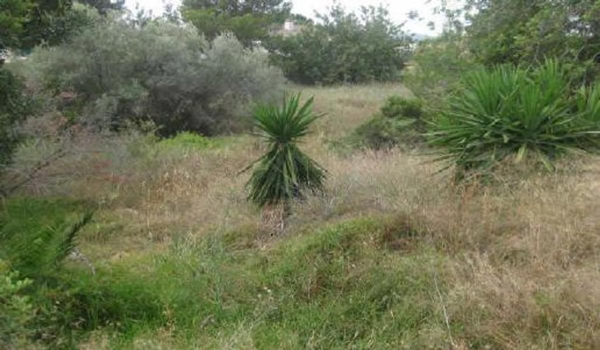 Properties for sale and rent in Spain photo 1
