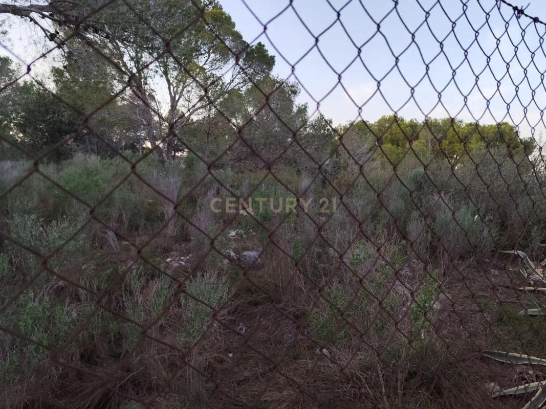 Land for sale in Picassent, Valencia photo 4