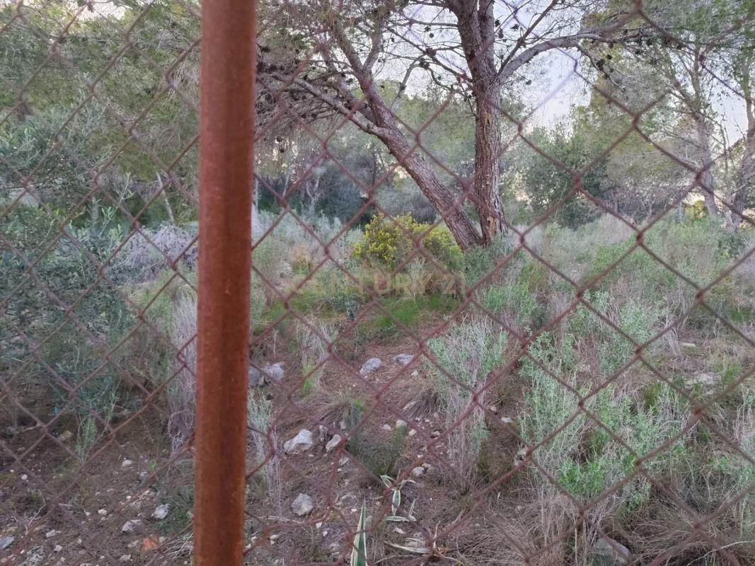 Land for sale in Picassent, Valencia photo 5