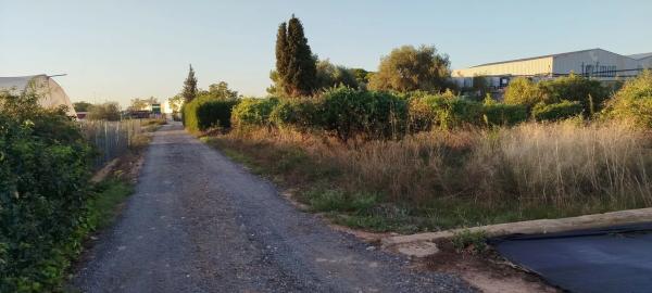 Terreno en plaza Numero 17, 106 photo 1