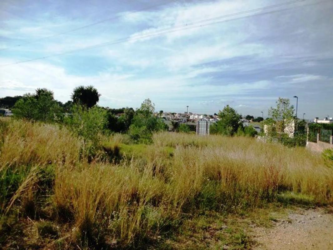 Properties for sale and rent in Spain photo 4