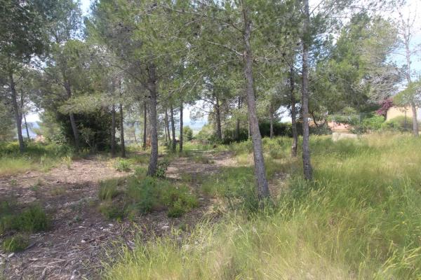 Terreno en Barrio Cumbres de Calicanto photo 1