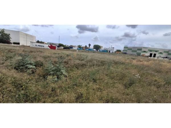 Terreno en Zona Centro photo 1