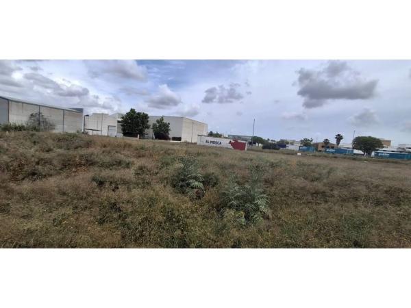 Terreno en Zona Centro photo 2