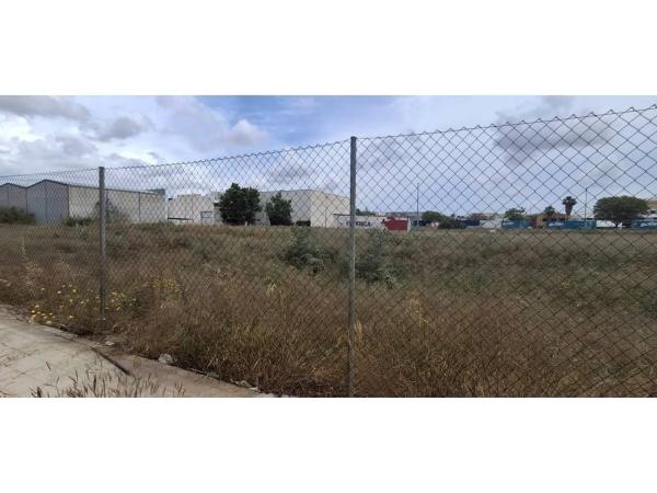 Terreno en Zona Centro photo 3