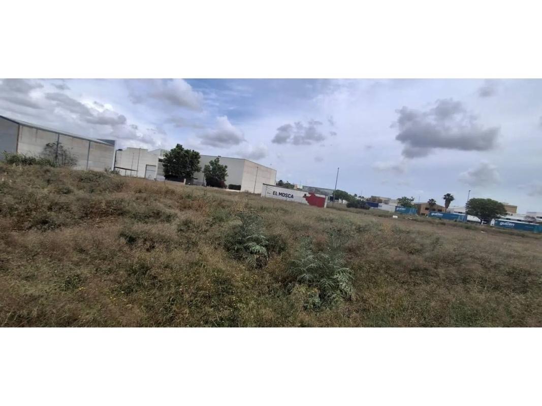 Land for sale in Xirivella, Valencia photo 4