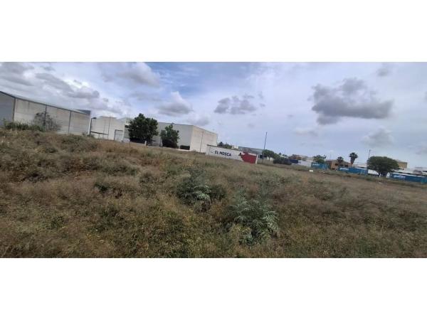 Terreno en Zona Centro photo 4