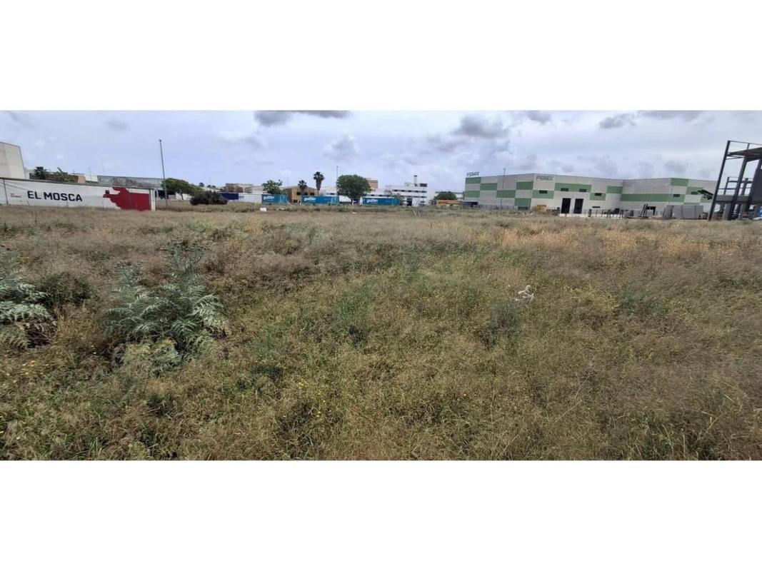 Land for sale in Xirivella, Valencia photo 5