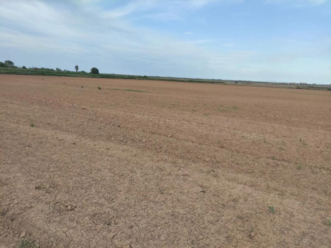Terreno en venta en Silla, Valencia photo 3