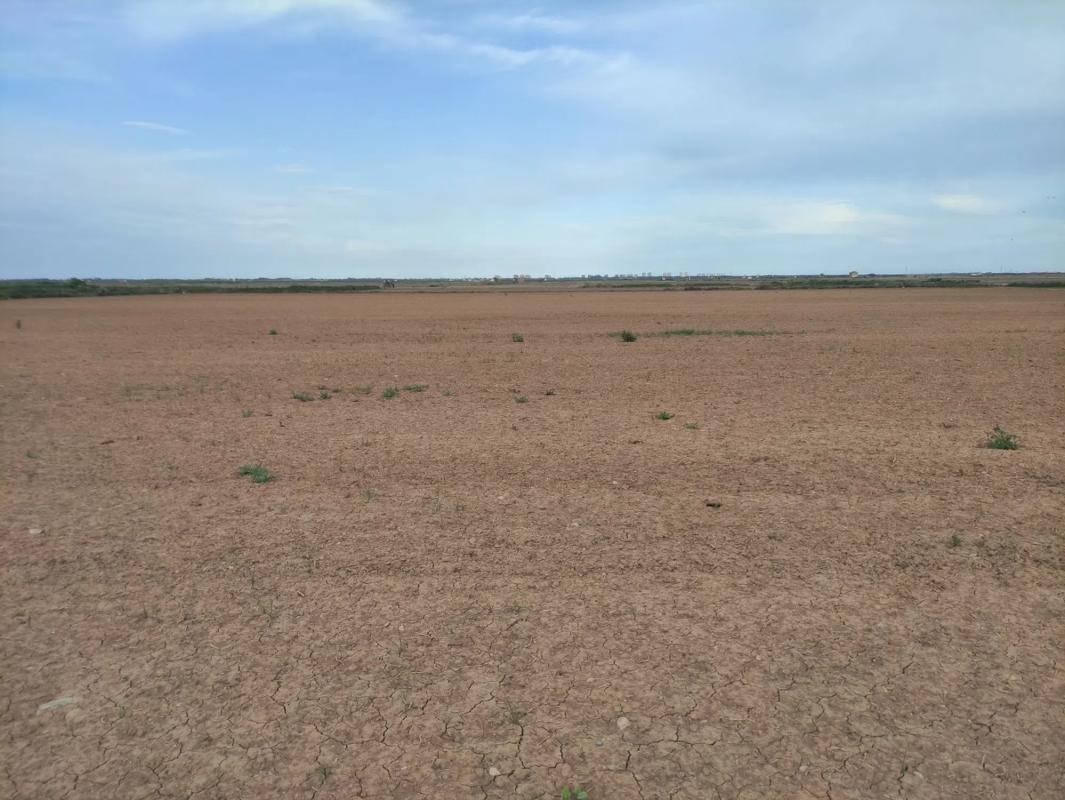 Terreno en venta en Silla, Valencia photo 5