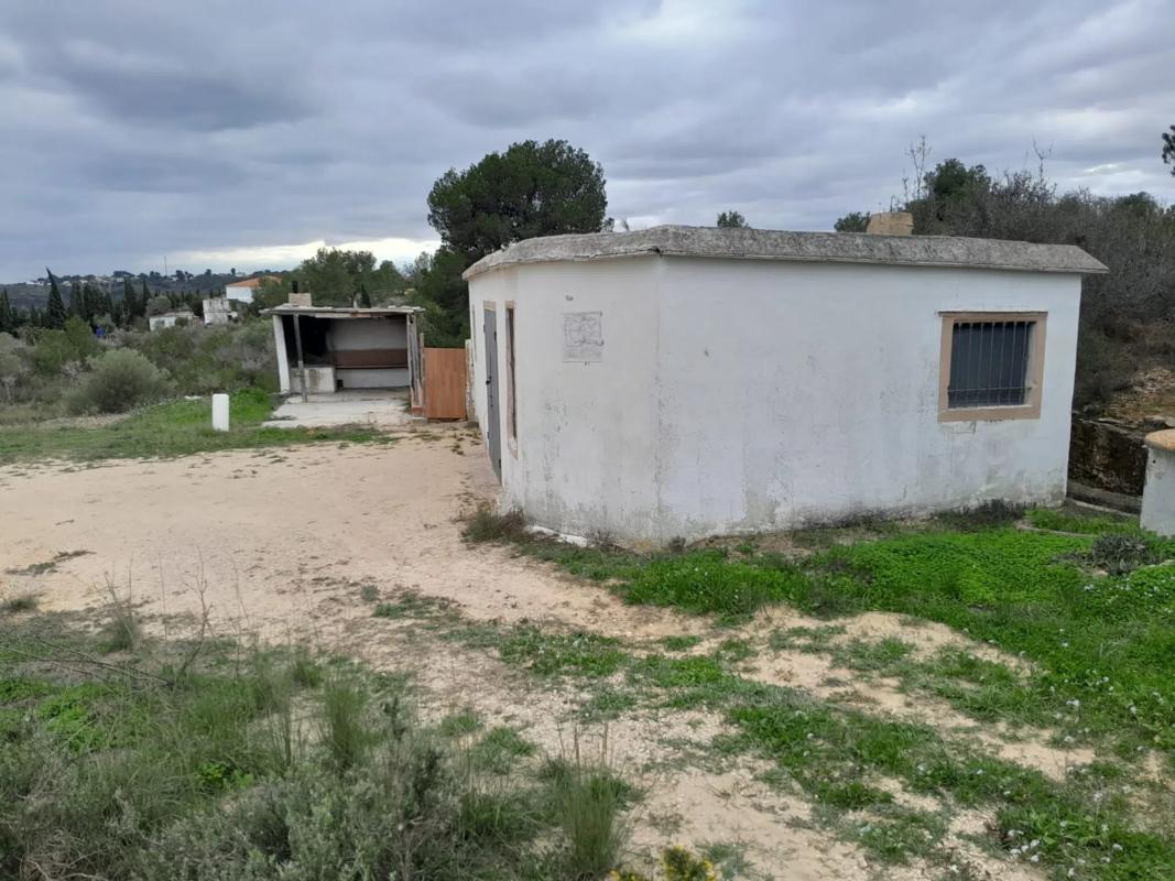 Properties for sale and rent in Spain photo 3