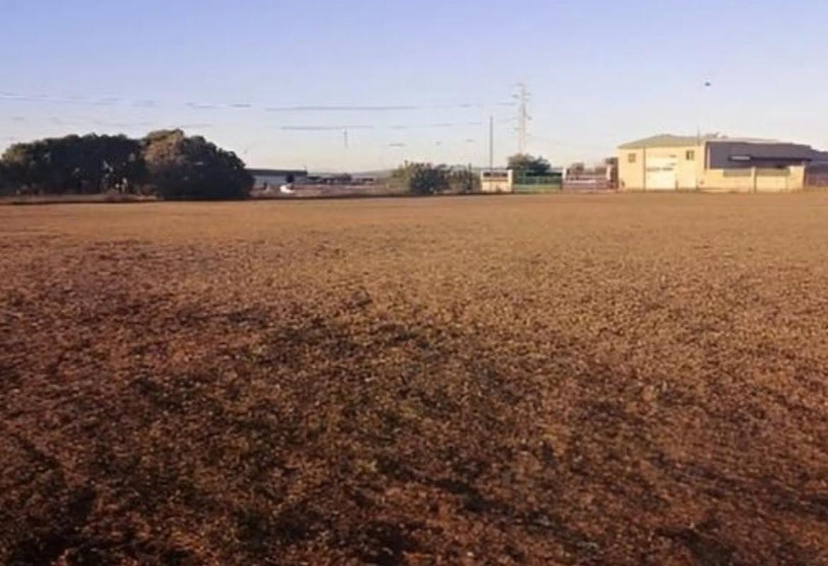 Land for sale in Paiporta, Valencia photo 2