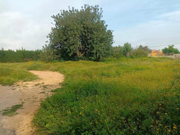 Terreno en Barrio Font del Teula - Mas de Pavia photo 1