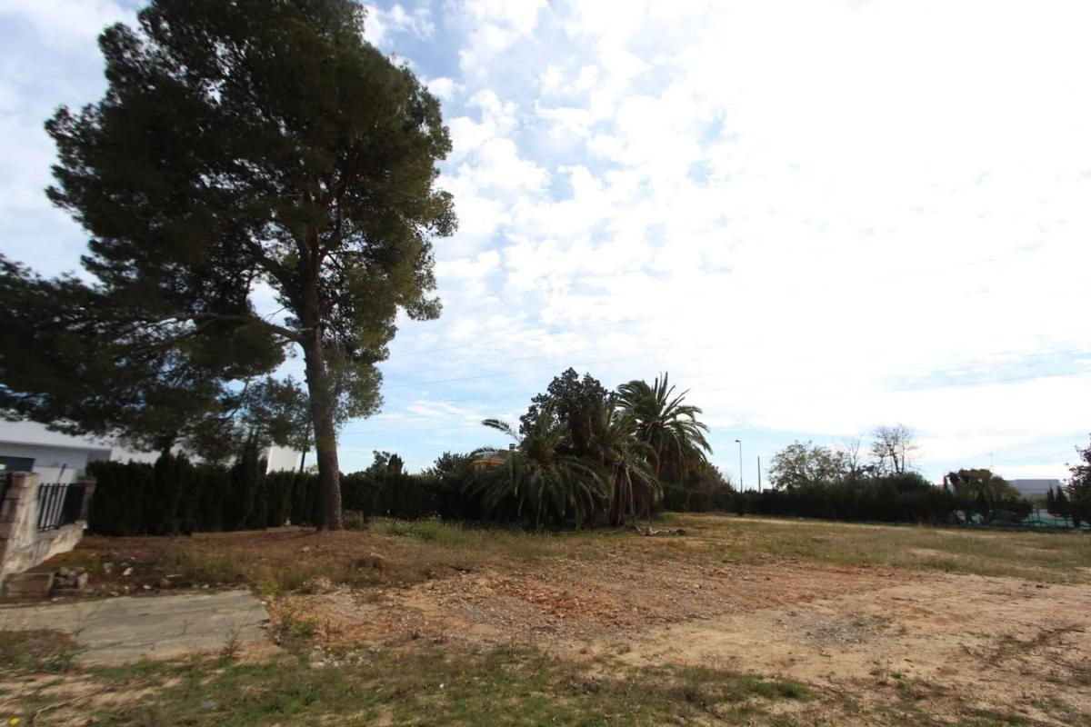 Properties for sale and rent in Spain photo 2
