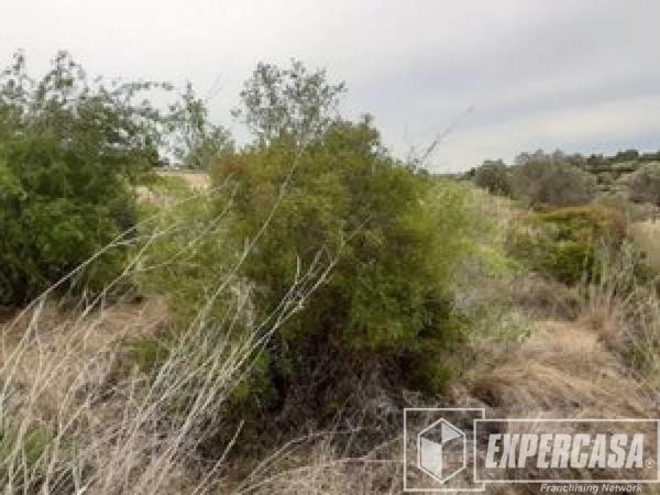 Terreno en Aldaia photo 2