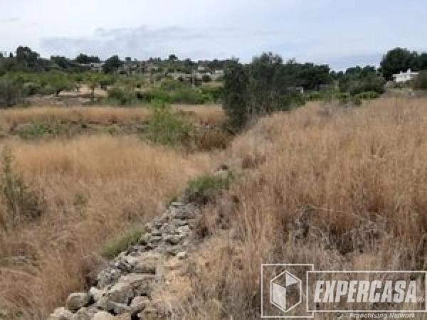Terreno en Aldaia photo 3