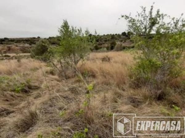 Terreno en Aldaia photo 4