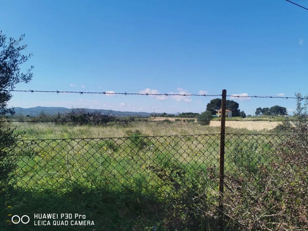 Terreno en venta en Picassent, Valencia photo 4