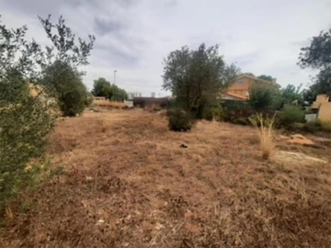 Properties for sale and rent in Spain photo 4