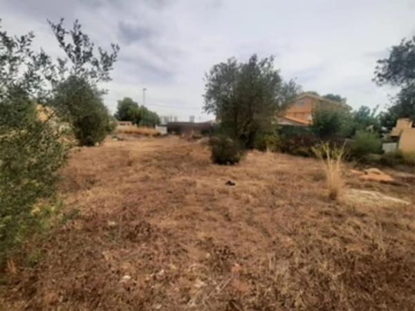 Terreno en Zona Parc Central - Hort de Trenor photo 4