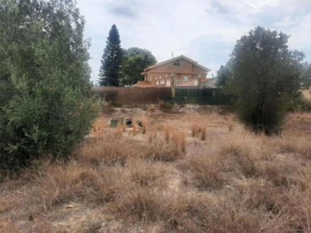 Properties for sale and rent in Spain photo 5