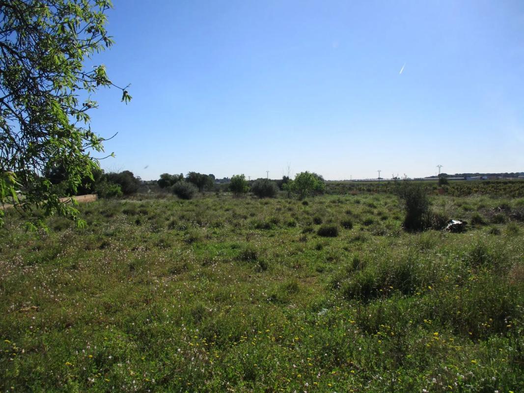 Terreno en venta en Manises, Valencia photo 2