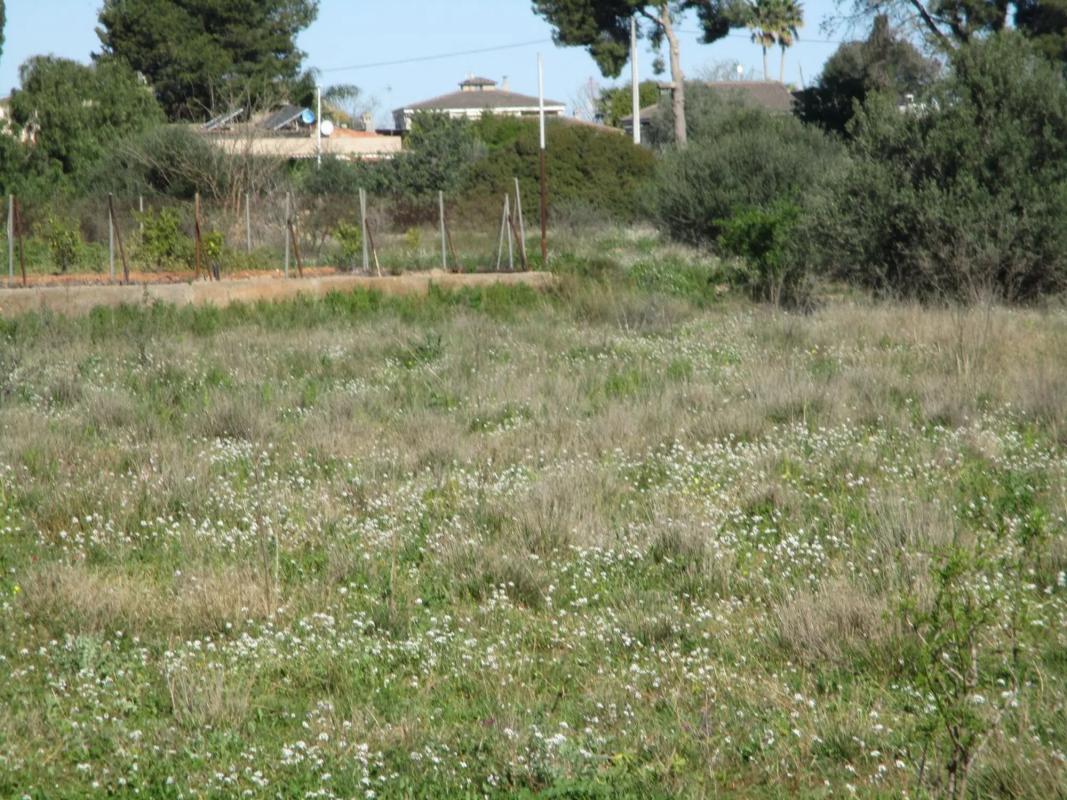 Terreno en venta en Manises, Valencia photo 3