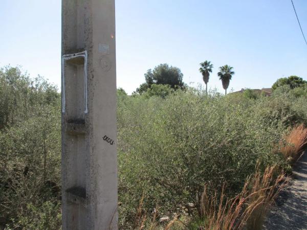 Terreno en calle del Pi Roig photo 1