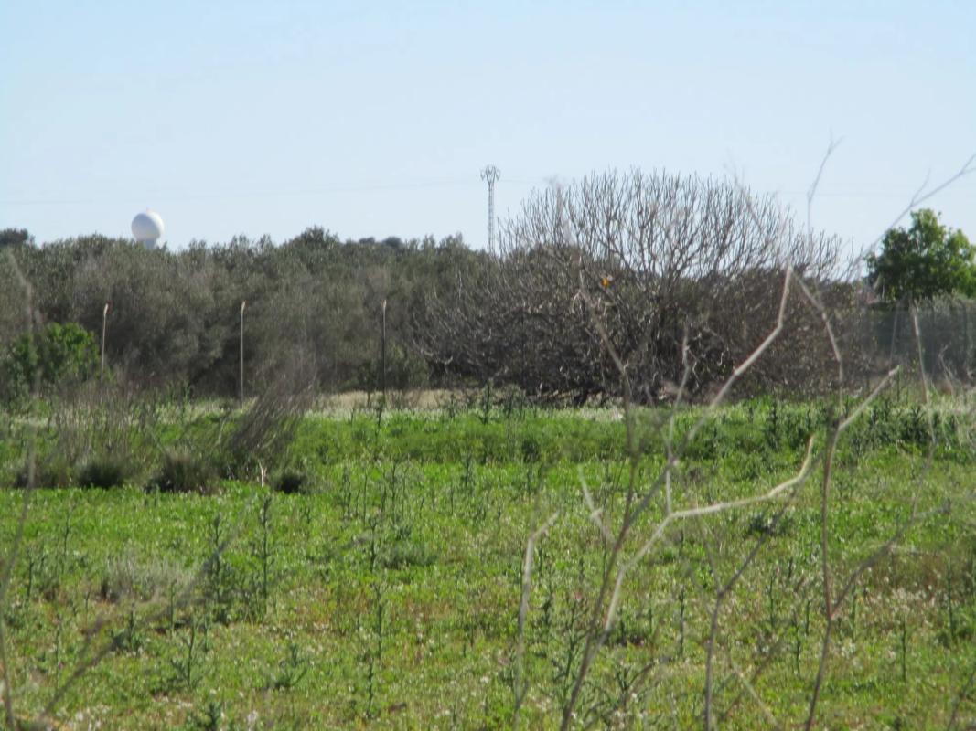 Terreno en venta en Manises, Valencia photo 4