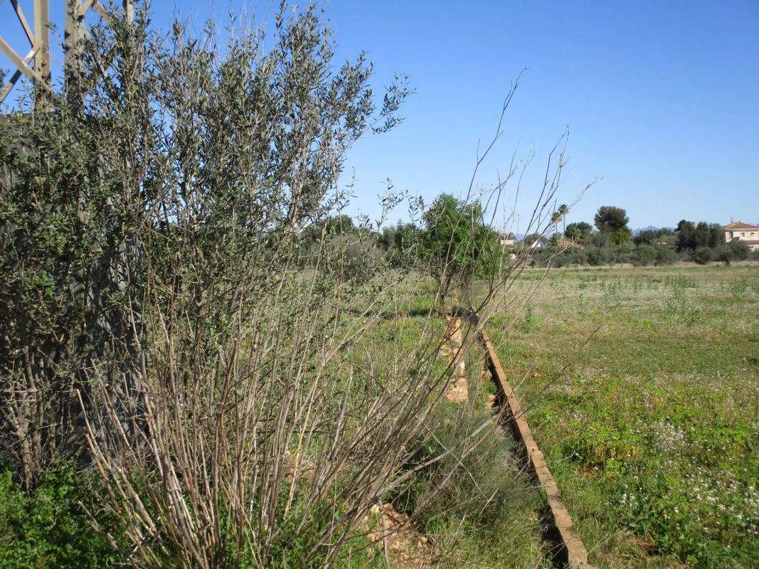 Terreno en venta en Manises, Valencia photo 5