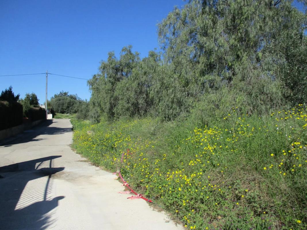 Land for sale in Manises, Valencia photo 3