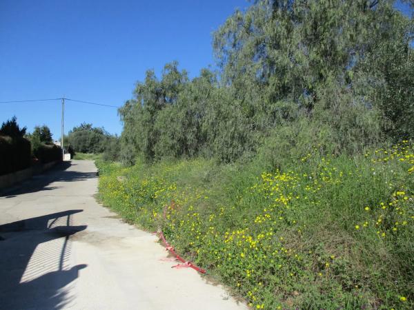 Terreno en calle del Pi Roig photo 3