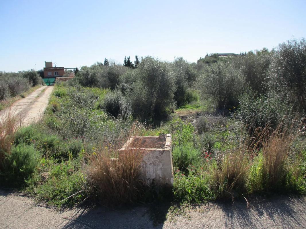 Land for sale in Manises, Valencia photo 4