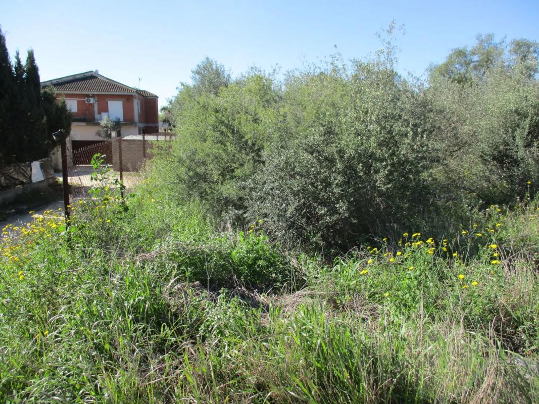 Land for sale in Manises, Valencia photo 5