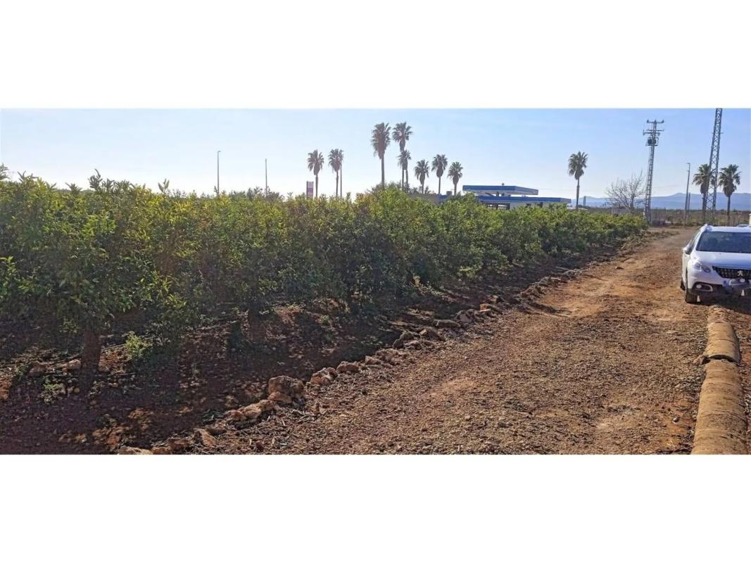 Terreno en venta en Picassent, Valencia photo 4