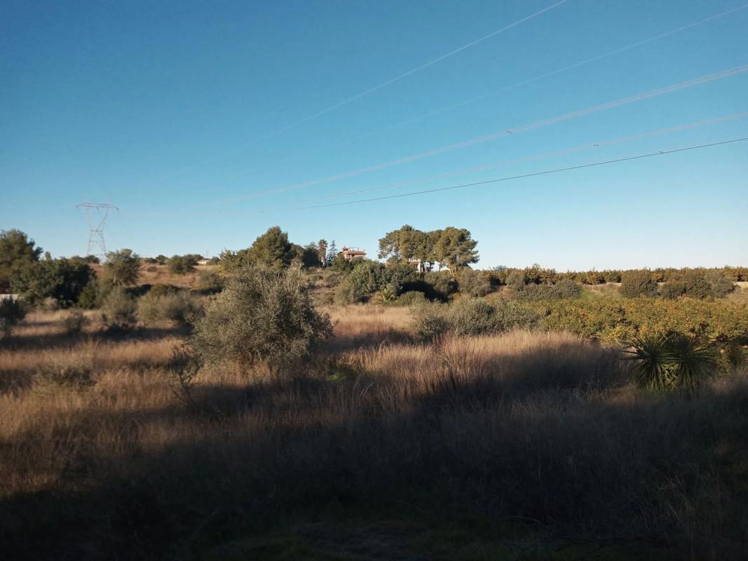 Terreno en venta en Picassent, Valencia photo 5