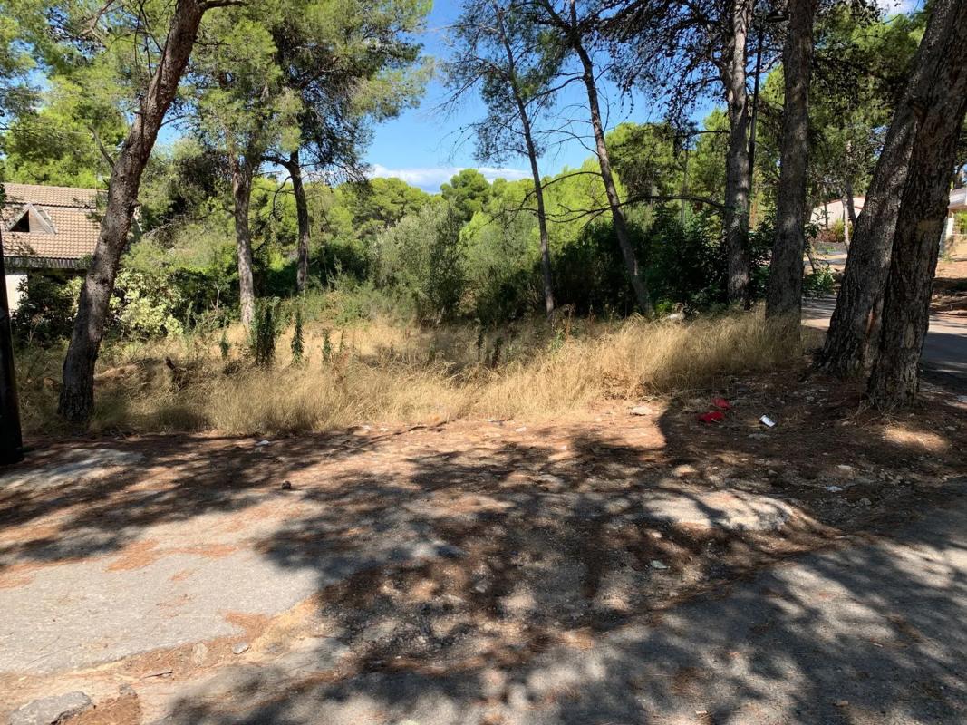 Propiedades en venta y alquiler en España photo 2