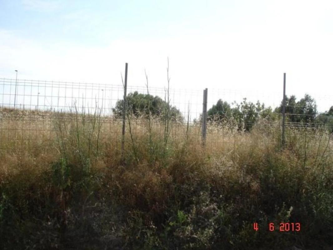 Land for sale in Alcàsser, Valencia photo 2