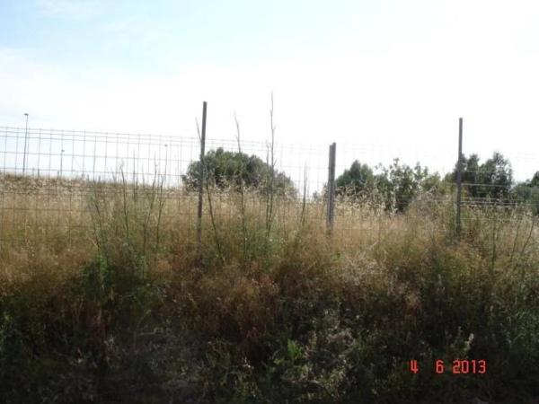 Terreno en calle Ruiz de Corella, 52 thumbnail 1