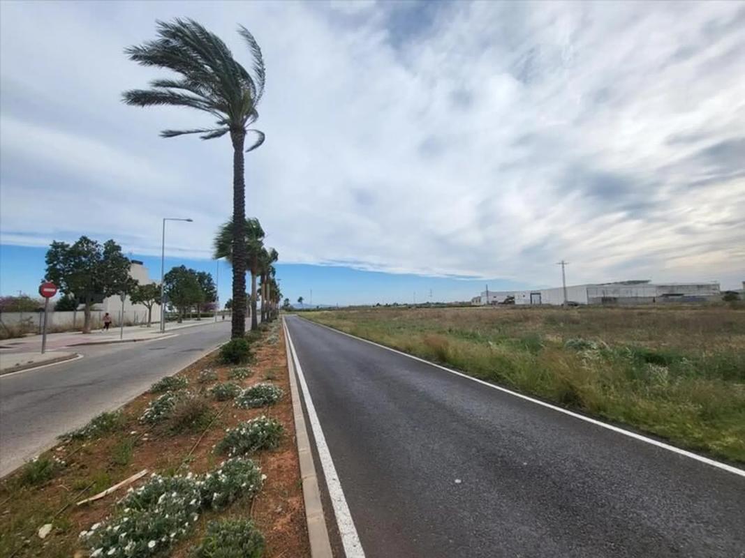 Land for sale in Silla, Valencia photo 5