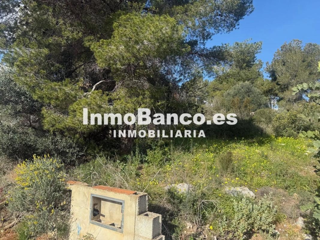 Propiedades en venta y alquiler en España photo 5