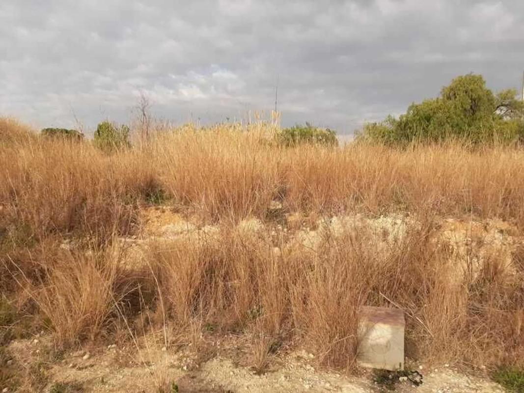 Terreno en venta en Picassent, Valencia photo 3