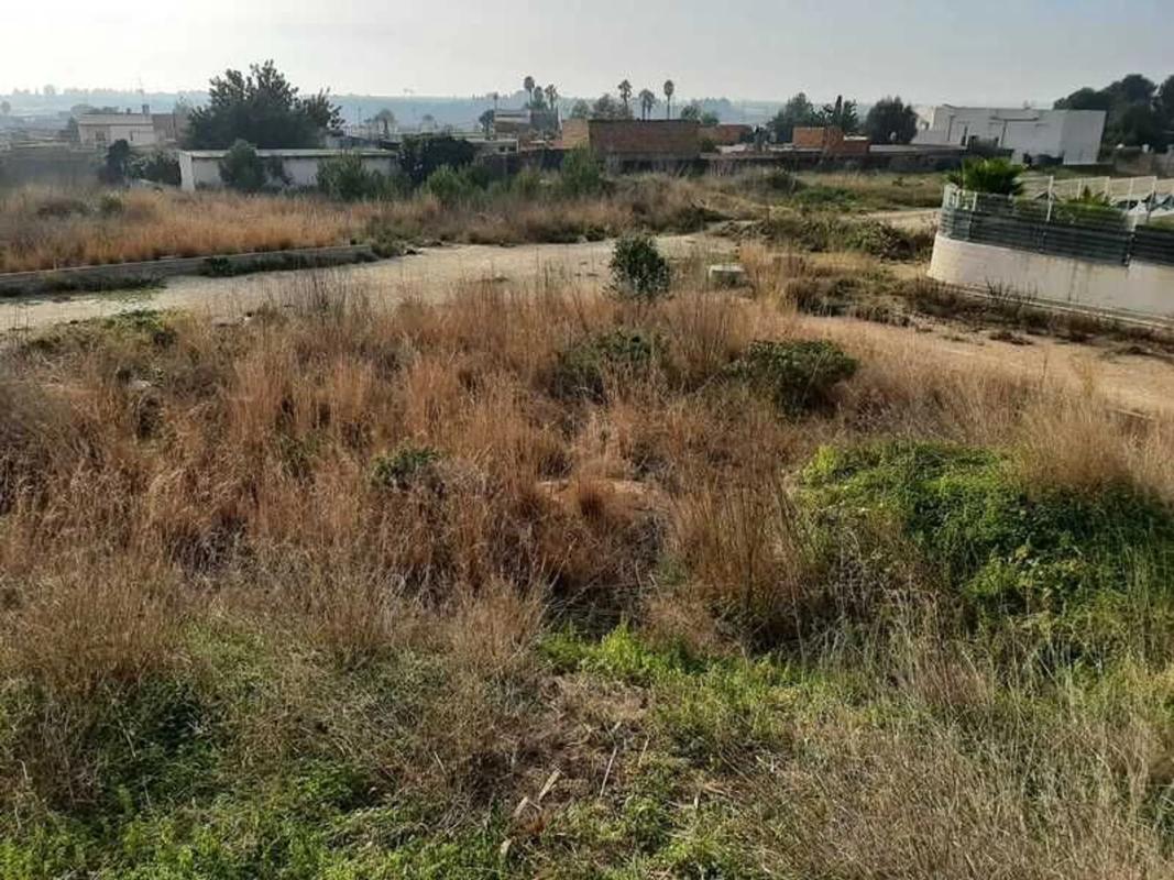 Terreno en venta en Picassent, Valencia photo 5