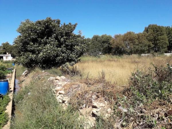 Terreno en calle Palau photo 4