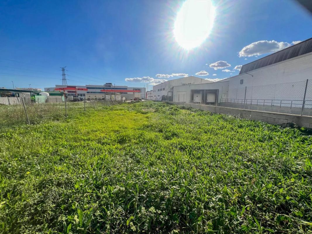 Terreno en venta en Aldaia, Valencia photo 2