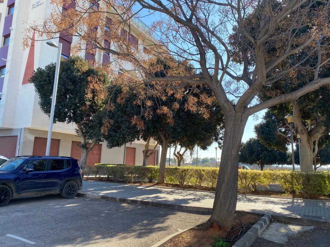 Terreno en venta en Silla, Valencia photo 1