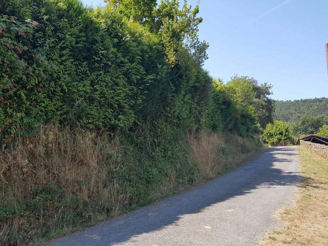 Terreno en venta en A Estrada, Pontevedra photo 4