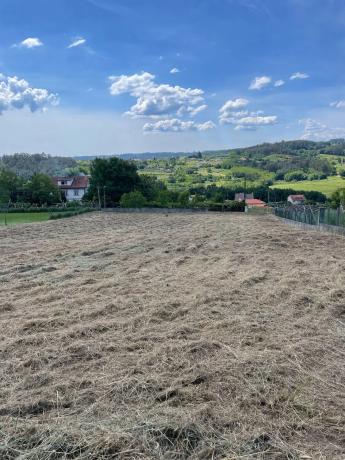 Terreno en Arnois s/n photo 1