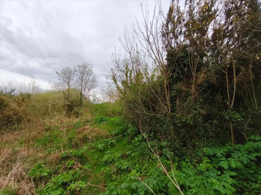 Terreno en venta en A Estrada, Pontevedra photo 4